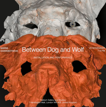BETWEEN DOG AND WOLF — WHAT REMAINS TO BE SEEN?